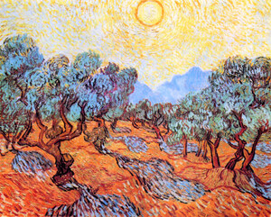 Olive Grove